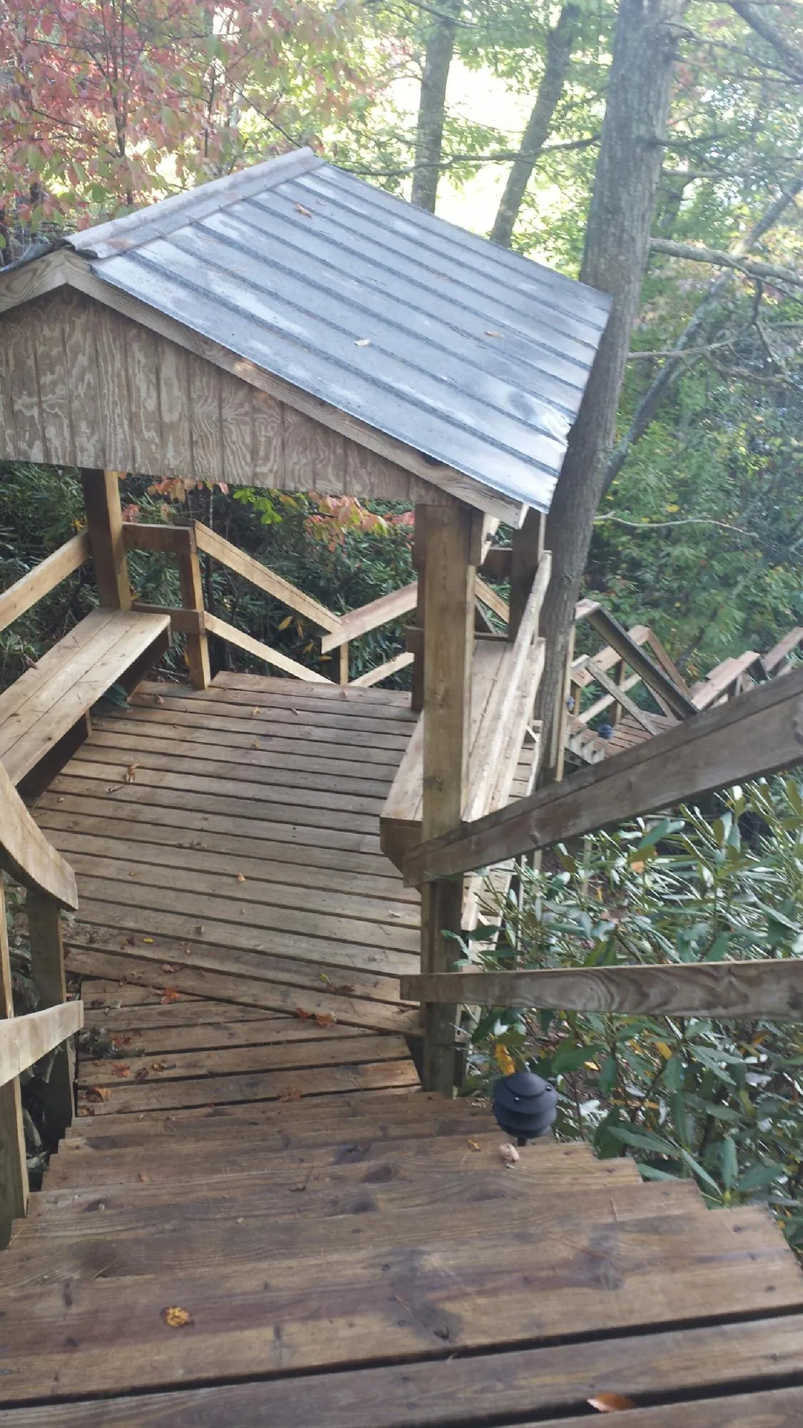 Metal roofed shelter over wooden steps on a wooded walkway — Skylight Repair & Installation work by our crew in Roseville